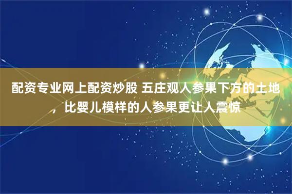 配资专业网上配资炒股 五庄观人参果下方的土地，比婴儿模样的人参果更让人震惊